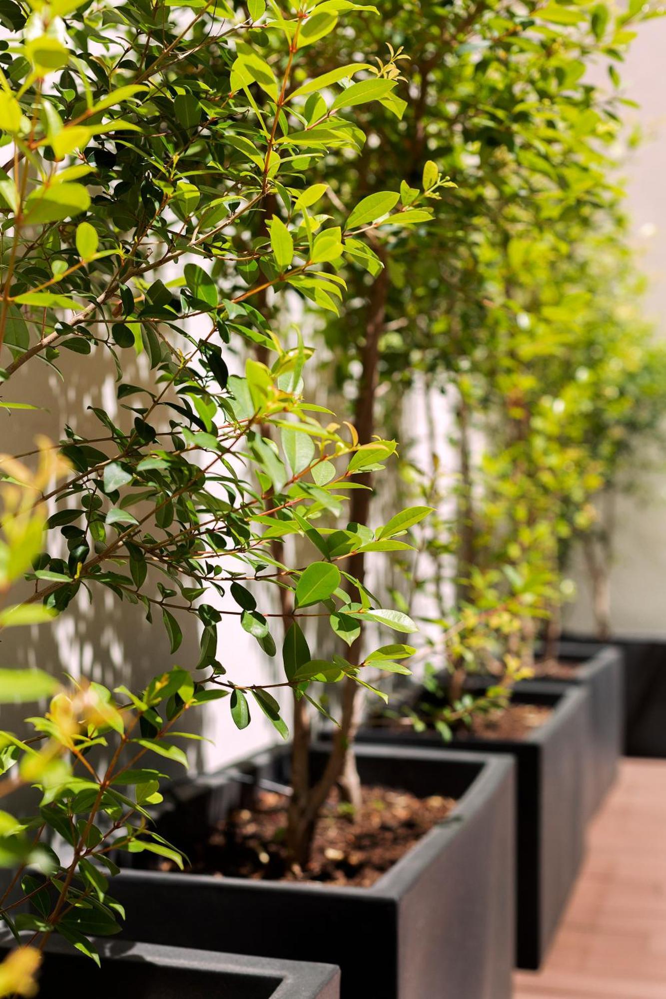 Apartamento Casa Mercader Barcelona